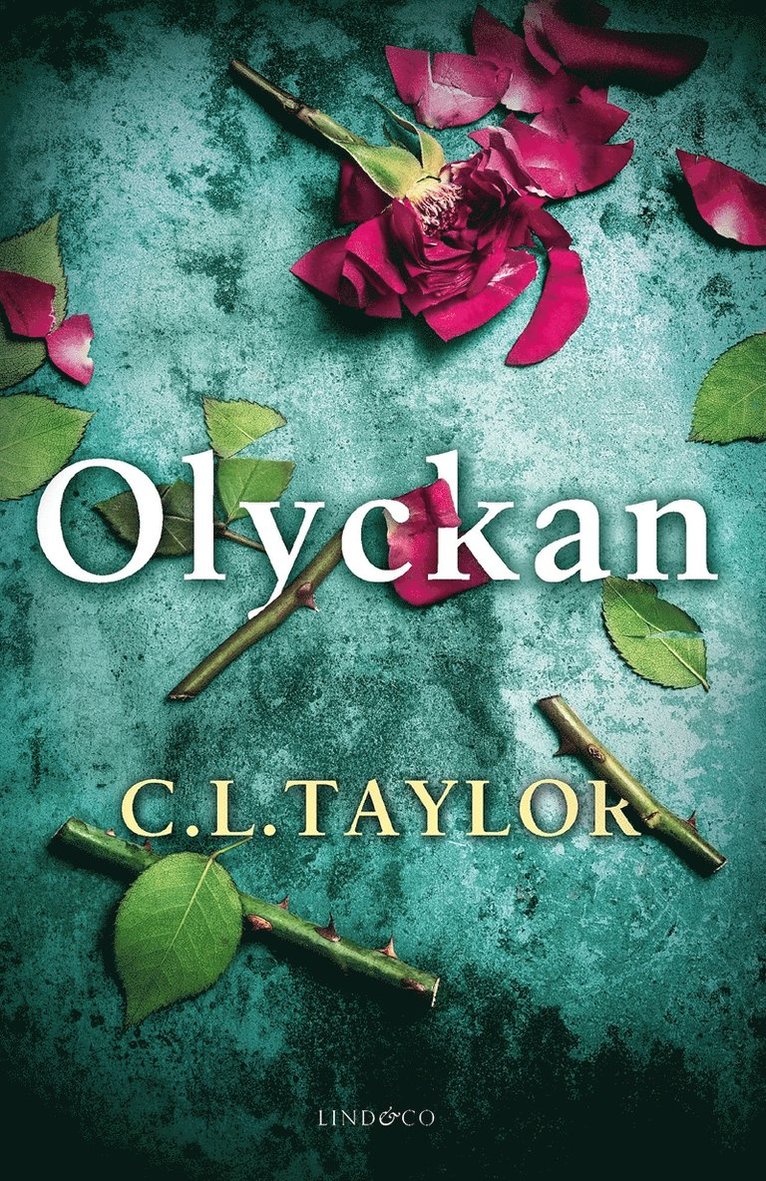 C.L. Taylor - Olyckan, E-bok