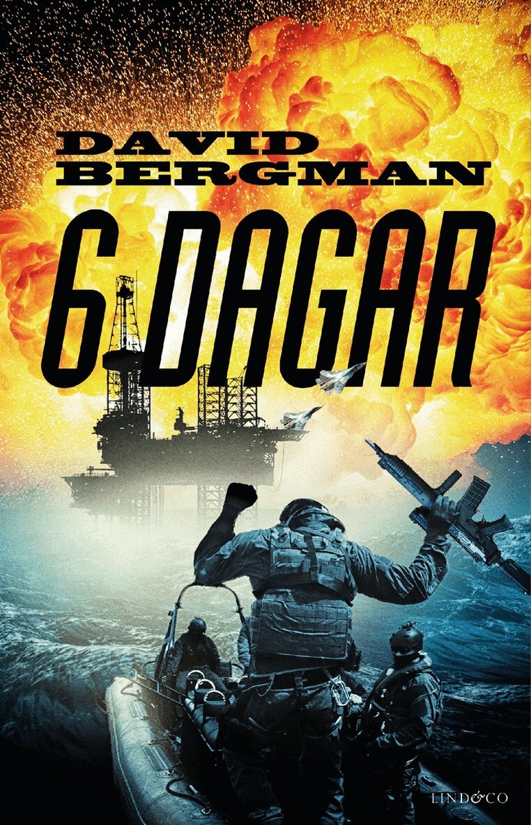 David Bergman - 6 dagar, E-bok