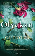 Olyckan