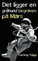 Tommy Rapp - Det ligger en gråhund begraven på Mars, Häftad
