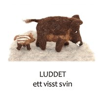 e-Bok Luddet <br />                        E bok