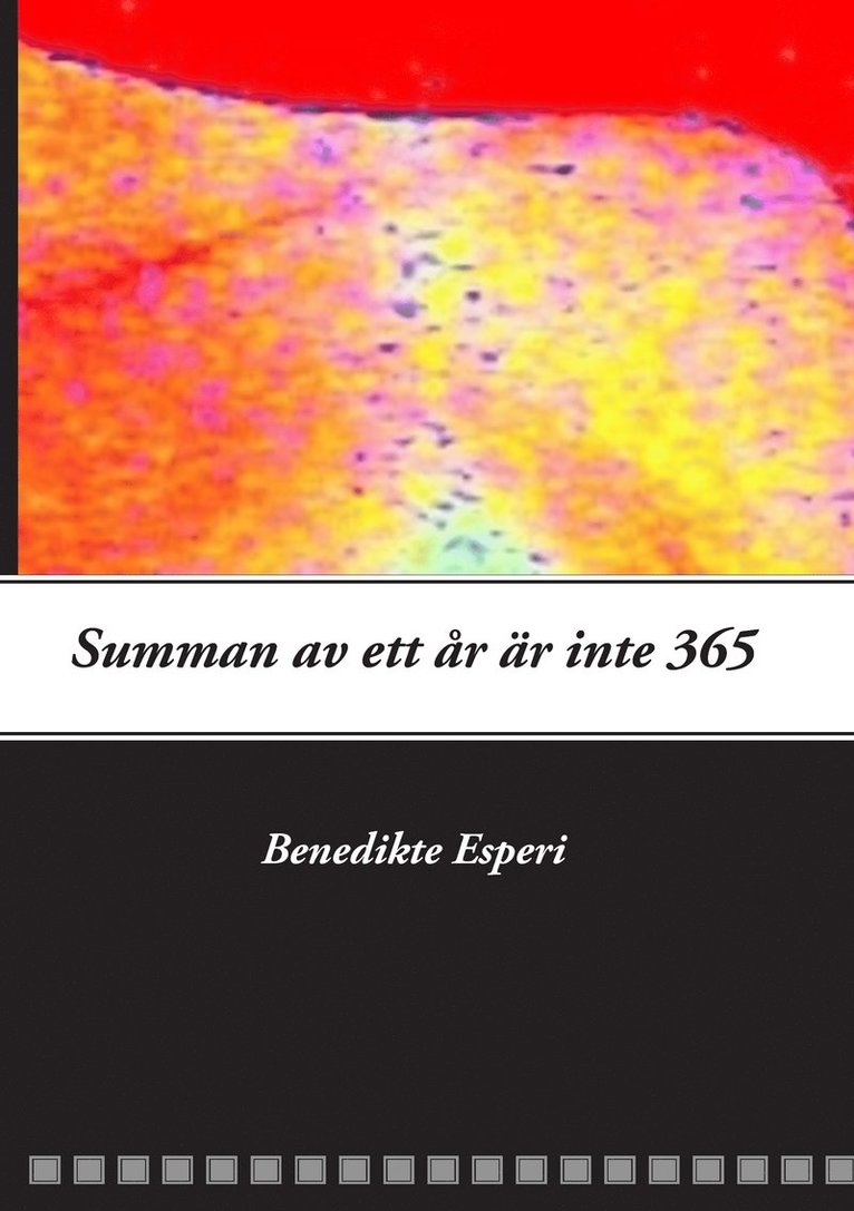 Benedikte Esperi - Summan av ett år är inte 365, Häftad
