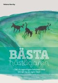 B�sta h�st�garen : det du egentligen beh�ver veta f�r att ha en egen h�st