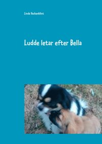 e-Bok Ludde letar efter Bella