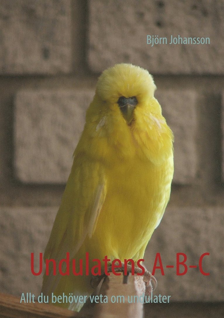 Björn Johansson - Undulatens A-B-C, E-bok