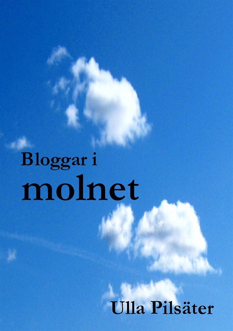 Ulla Pilsäter - Bloggar i molnet, E-bok