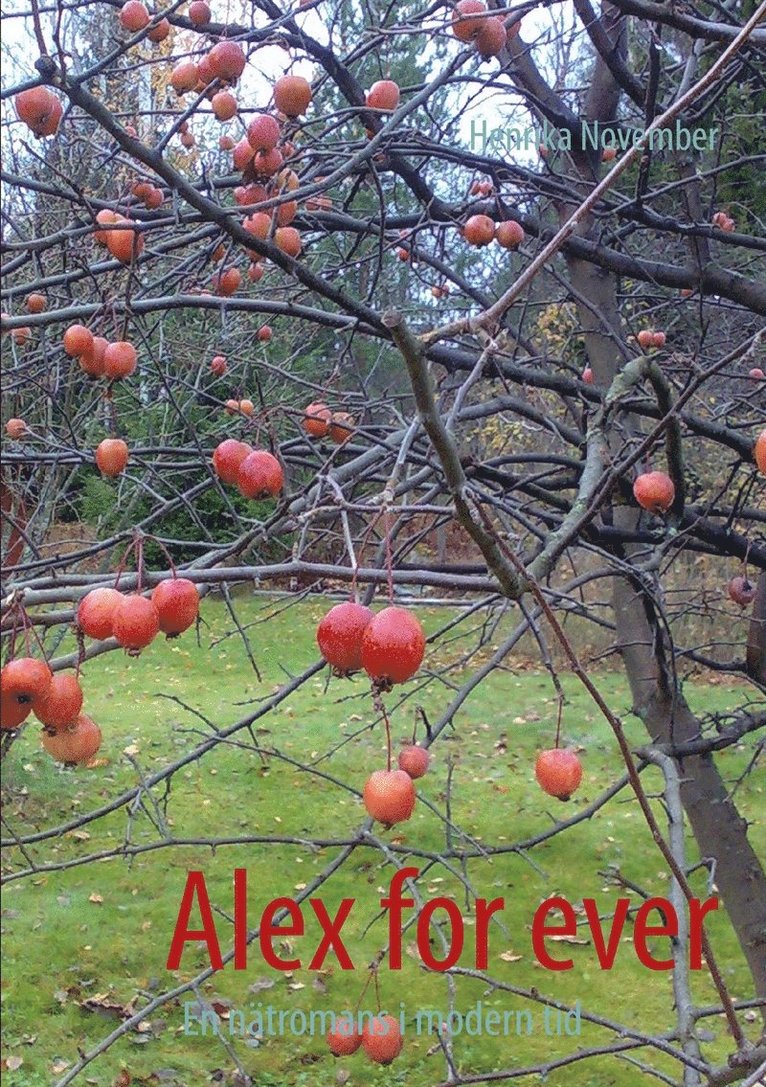 Henrika November - Alex for ever, E-bok