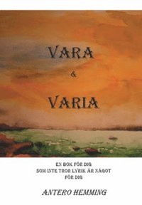 e-Bok Vara och Varia