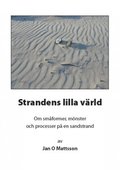 Strandens lilla vrld : om smformer, mnster och processer p en sandstrand