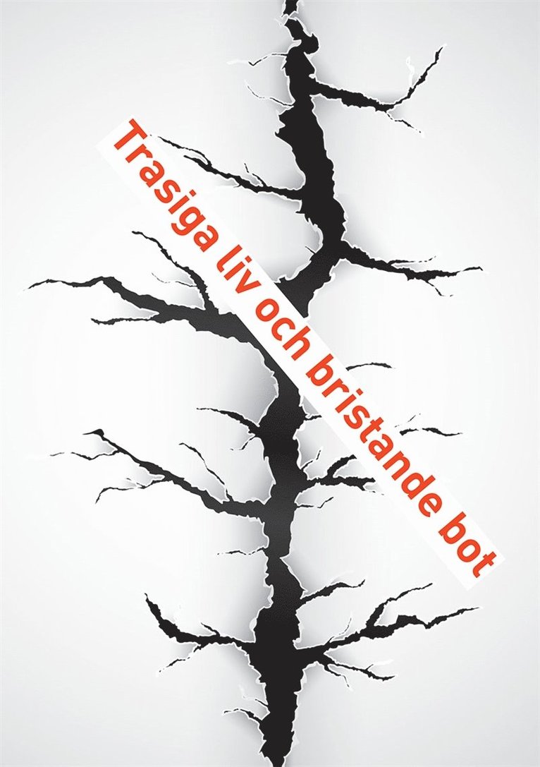 Juha Snellman - Trasiga liv och bristande bot, E-bok