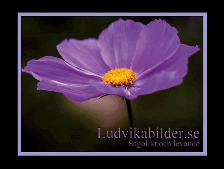 Text- och Bildgrupen, Ludvika Kommun - Ludvikabilder.se - Sagolikt och levande, E-bok