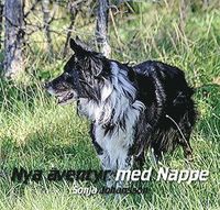 e-Bok Nya äventyr med Nappe