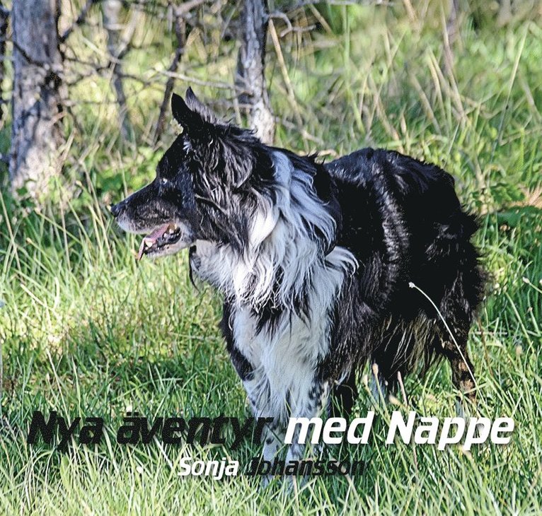 Sonja Johansson - Nya äventyr med Nappe, E-bok