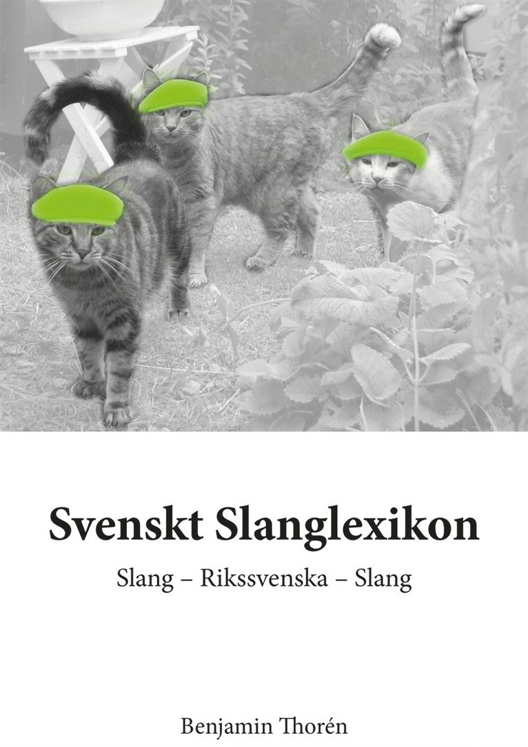 Benjamin Thorén - Svenskt Slanglexikon, E-bok