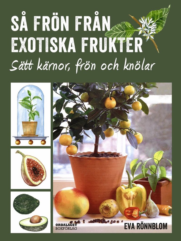 Eva Rönnblom - Så frön från exotiska frukter - sätt kärnor, frön och knölar, Inbunden
