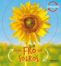 Från frö till solros