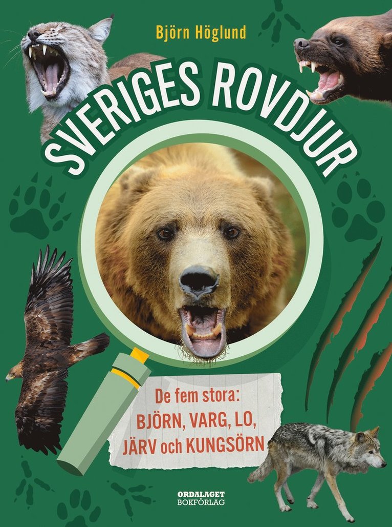 Björn Höglund - Sveriges rovdjur: de fem stora: björn, varg, lo, järv och kungsörn, E-bok