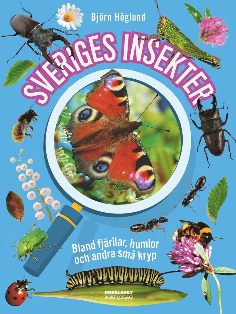 Björn Höglund - Sveriges insekter: bland fjärilar, humlor och andra små kryp, E-bok