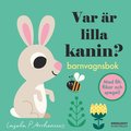 Var r lilla kanin? (barnvagnsbok)