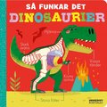 S� funkar det. Dinosaurier