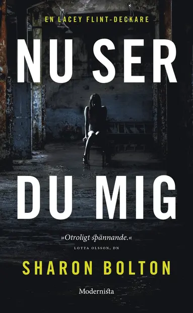 Sharon Bolton - Nu ser du mig, E-bok
