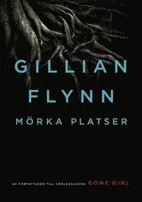 Gillian Flynn - Mörka platser, E-bok