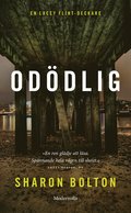 Oddlig