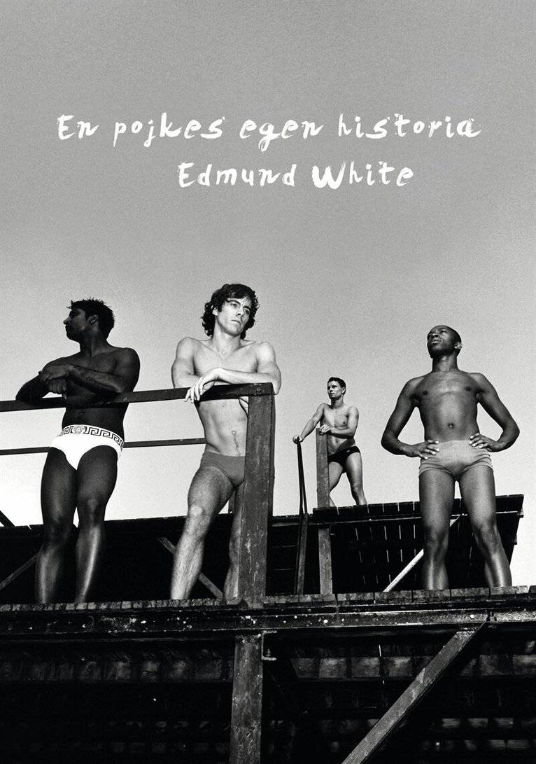 Edmund White - En pojkes egen historia, E-bok