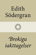 Brokiga iakttagelser