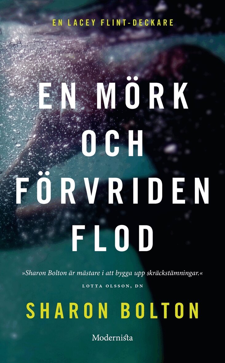 Sharon Bolton - En mörk och förvriden flod (Lacey Flint del 4), E-bok
