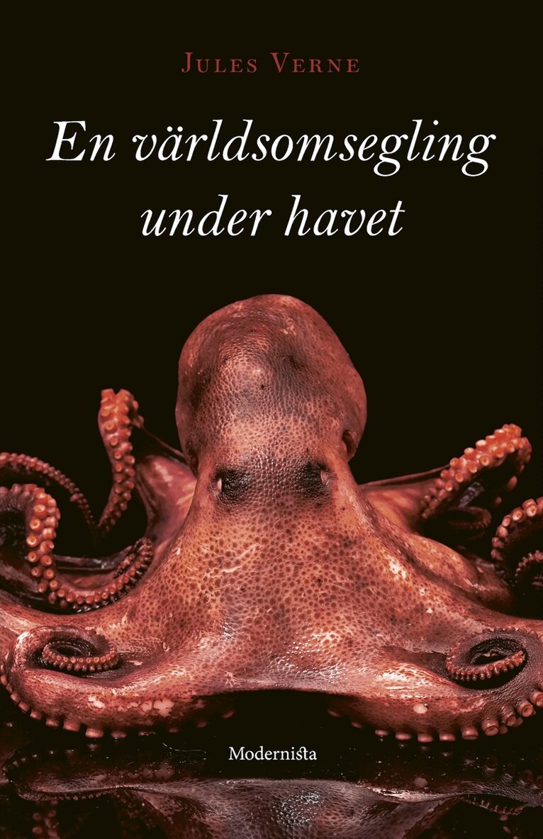 Jules Verne - En världsomsegling under havet, E-bok