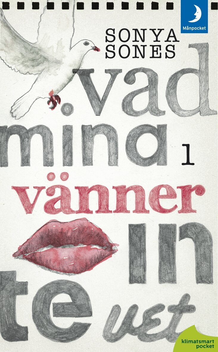Sonya Sones - Vad mina vänner inte vet, Pocket