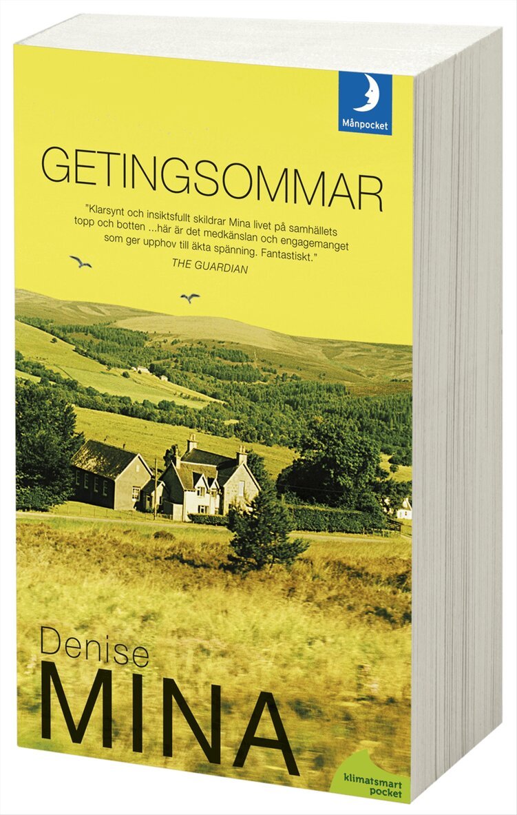Denise Mina - Getingsommar, Pocket