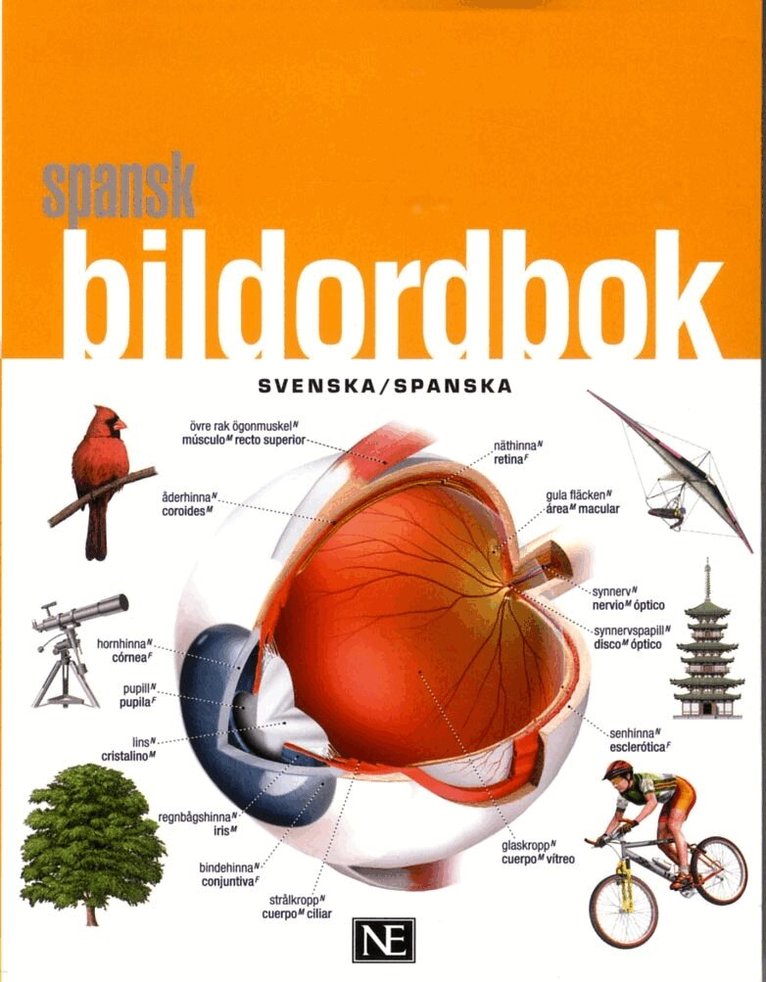 Spansk bildordbok, Häftad