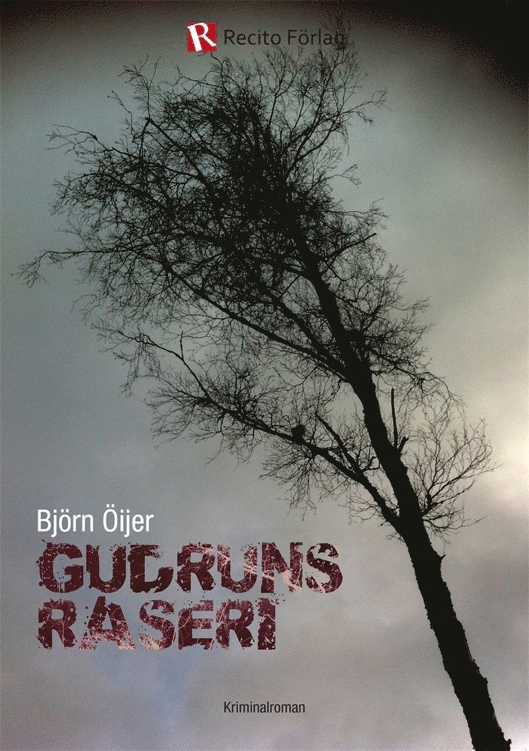 Björn Öijer - Gudruns raseri, E-bok