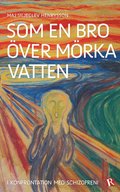 Som en bro �ver m�rka vatten : i konfrontation med schizofreni