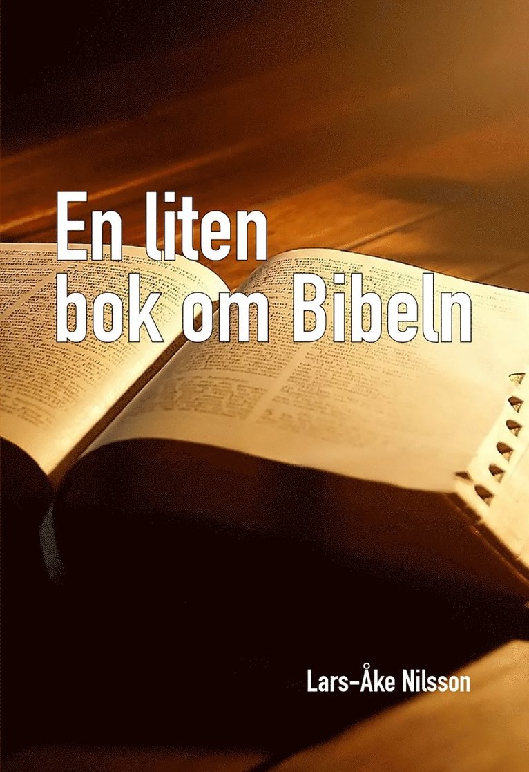 Lars-Åke Nilsson, Eva Andersson - EN LITEN BOK OM BIBELN, E-bok