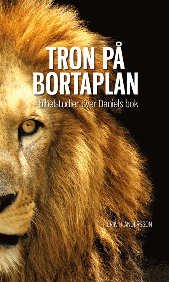 Erik J Andersson - TRON PÅ BORTAPLAN - Bibelstudier över Daniels bok, E-bok