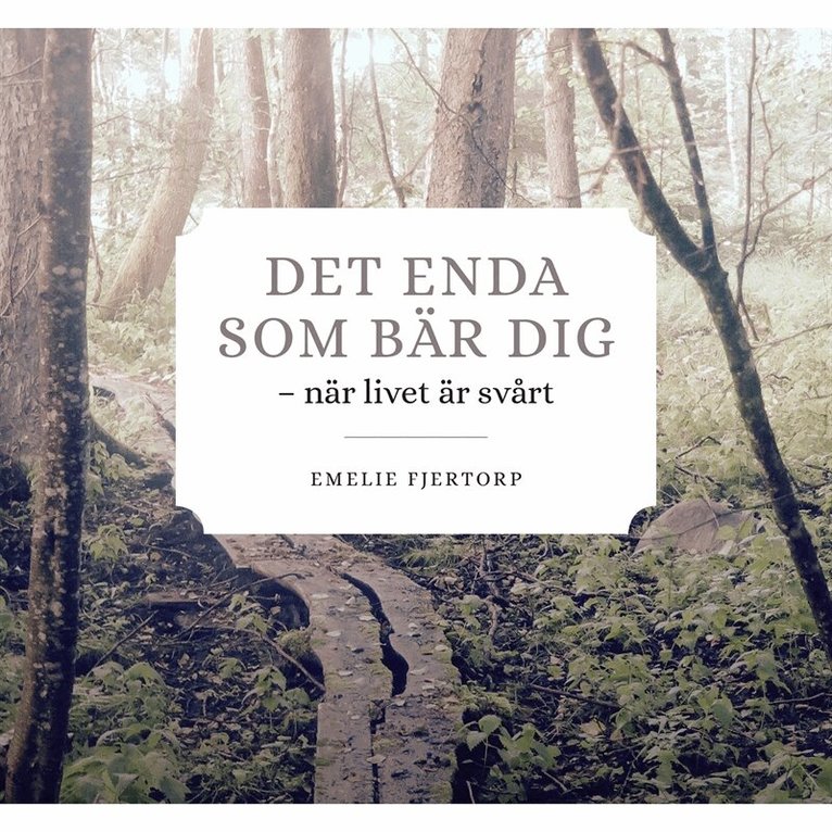 Emilie Fjertorp - DET ENDA SOM BÄR DIG, E-bok