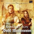 Barkhes son : en historisk spnningsroman
