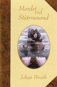 Mordet vid Stj�rnesand : en dokument�rroman