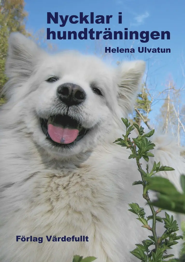 Helena Ulvatun - Nycklar i hundträningen, Häftad. Tillgänglighet: Lägg i varukorg