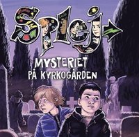 e-Bok Mysteriet på kyrkogården <br />                        Ljudbok