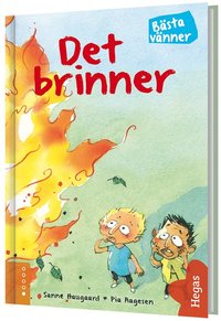 e-Bok Det brinner