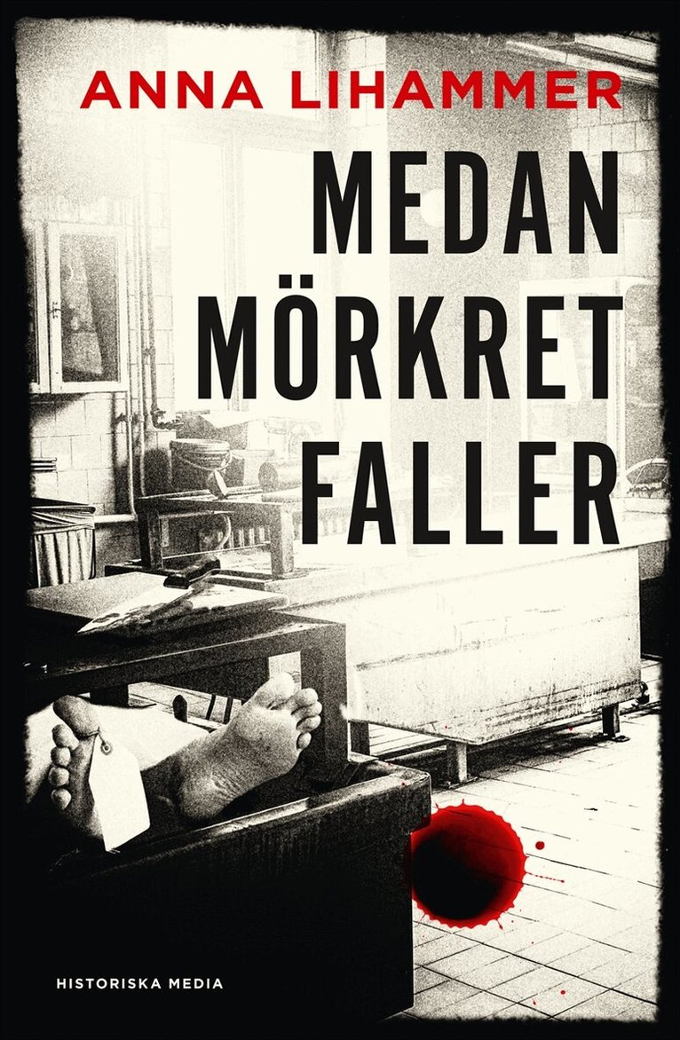 Anna Lihammer - Medan mörkret faller, E-bok
