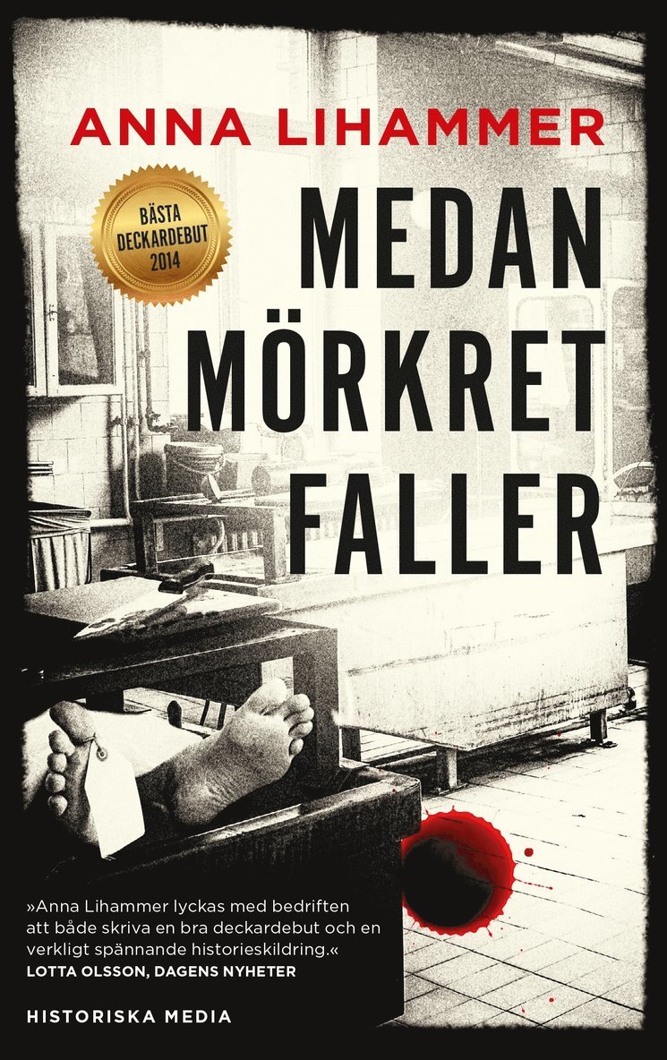 Anna Lihammer - Medan mörkret faller, Häftad