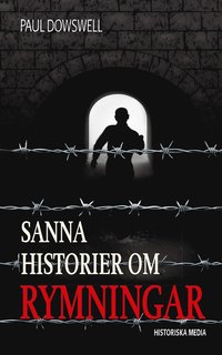 e-Bok Sanna historier om rymningar <br />                        E bok