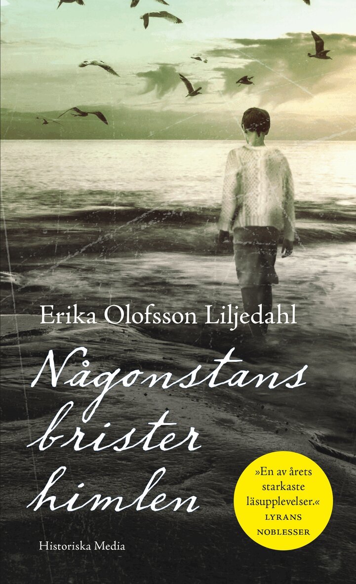 Erika Olofsson Liljedahl - Någonstans brister himlen, E-bok