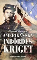 Amerikanska inbrdeskriget 1861-1865