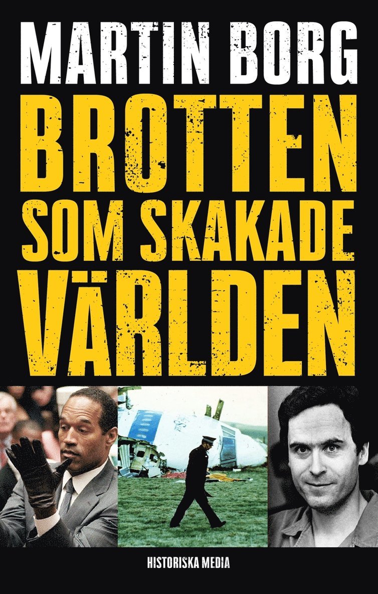 Martin Borg - Brotten som skakade världen, E-bok